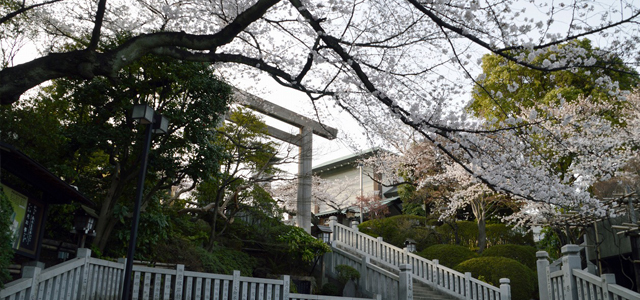 お宮参り神奈川の神社